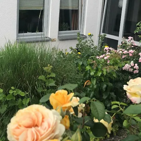Appartement Ernst-Ludwig-Promenade à Bensheim Extérieur photo