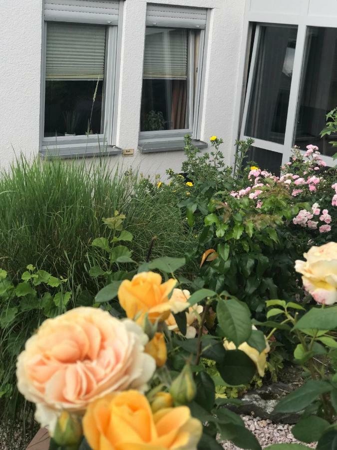 Ernst-ludwig-promenade Apartment Bensheim